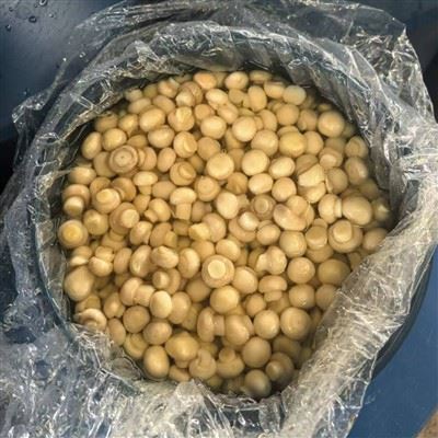 Mushroom Drums Factory Price Fresh Seasoned Mushroom Drums Factory Price Fresh Seasoned